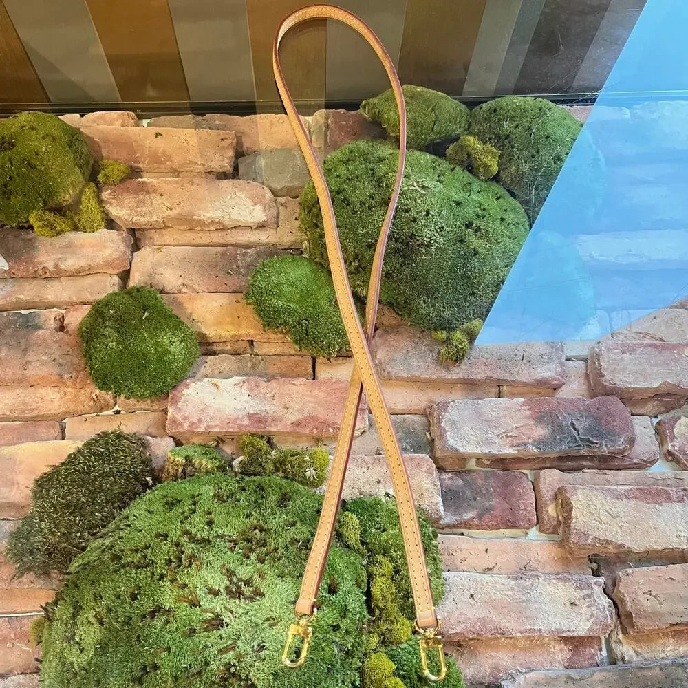 Louis Vuitton details brand